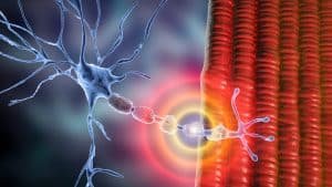Assistenza legale alle vittime con danni neuropatici